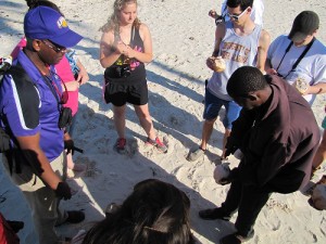 Coco Beach Coconuts