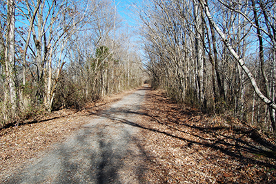 Trail facing north